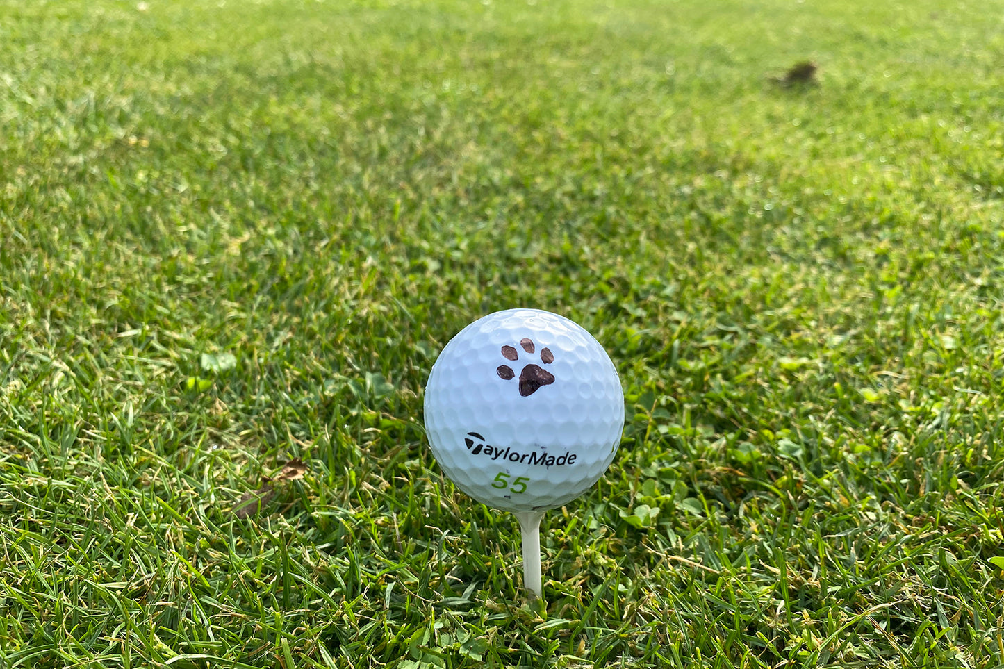 Dog Paw - Golf Ball Marking Stencil - 3D Printed