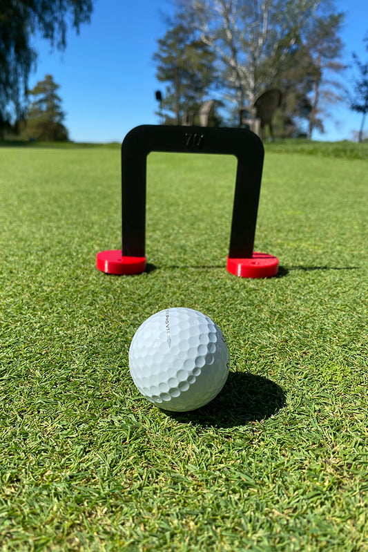 Golf Training Gate - 3D Printed